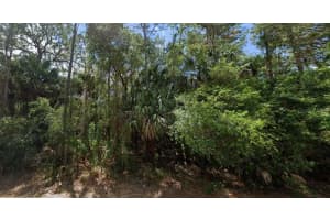 14255 MARY JO AVENUE, PORT CHARLOTTE, FL 33953 - MLS#MFRO6324181
