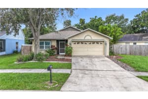10901 Peppersong Dr, RIVERVIEW