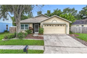 10901 PEPPERSONG DRIVE, RIVERVIEW, FL 33578 - MLS#MFRO6324240
