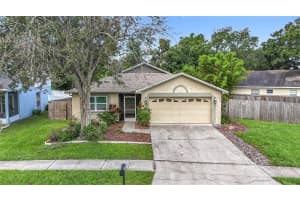 10901 PEPPERSONG DRIVE, RIVERVIEW, FL 33578 - MLS#MFRO6324240