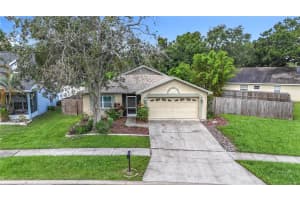 10901 PEPPERSONG DRIVE, RIVERVIEW, FL 33578 - MLS#MFRO6324240