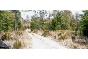0 61ST LANE, WILLISTON, FL 32696 - MLS#MFRO6324354