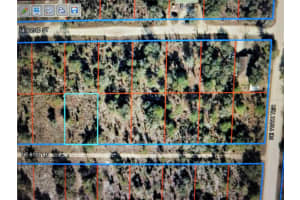0 61ST LANE, WILLISTON, FL 32696 - MLS#MFRO6324354