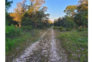 0 61ST LANE, WILLISTON, FL 32696 - MLS#MFRO6324354