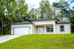 10955 DRAGONIS DRIVE, CITRUS SPRINGS, FL 34433 - MLS#MFRO6324424