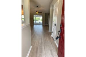 1302 AVONWOOD COURT, LUTZ, FL 33559 - MLS#MFRO6324574