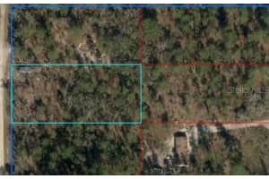 N, DUNEDIN, FL 34698 - MLS#MFRO6324660