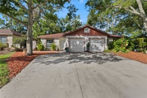 2730 LANGSTAFF DRIVE, PALM HARBOR, FL 34684 - MLS#MFRO6324730