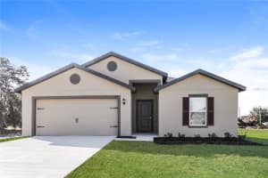 168 BIG BLACK DRIVE, KISSIMMEE, FL 34759 - MLS#MFRO6324751