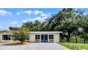 1200 LAKE HARNEY ROAD, GENEVA, FL 32732 - MLS#MFRO6324808