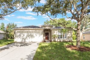 988 Vanderbilt Dr, EUSTIS
