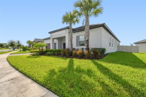 31896 MAGNA GULF LOOP, SAN ANTONIO, FL 33576 - MLS#MFRO6324933
