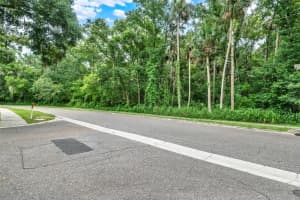 390 LAKE MCCOY DRIVE, APOPKA, FL 32712 - MLS#MFRO6324951
