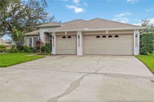 18102 Pheasant Walk Dr, TAMPA
