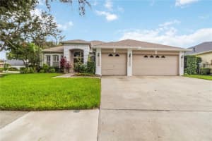 18102 PHEASANT WALK DRIVE, TAMPA, FL 33647 - MLS#MFRO6325004
