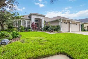 18102 PHEASANT WALK DRIVE, TAMPA, FL 33647 - MLS#MFRO6325004