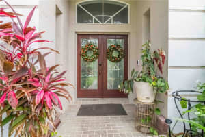 18102 PHEASANT WALK DRIVE, TAMPA, FL 33647 - MLS#MFRO6325004