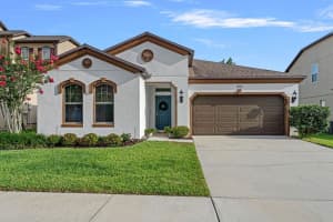 1193 WOODS LANDING DRIVE, MINNEOLA, FL 34715 - MLS#MFRO6325116