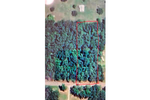 13721 49TH PLACE, OCALA, FL 34481 Sold 08/22/25