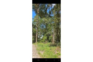 13721 49TH PLACE, OCALA, FL 34481 Sold 08/22/25
