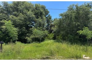 E NORTHSIDE DR, LAKE WALES, FL 33853 Sold 09/09/25
