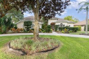 2317 Warren Woods Dr, ORLANDO