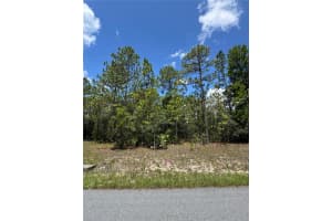 11308 KINLOCK TERRACE, DUNNELLON, FL 34433 - MLS#MFRO6325285