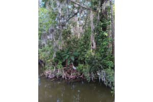 9117 ROYAL PALM DRIVE, INVERNESS, FL 34450 - MLS#MFRO6325287