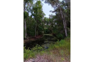 9117 ROYAL PALM DRIVE, INVERNESS, FL 34450 - MLS#MFRO6325287