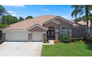 11031 Ledgement Ln, WINDERMERE