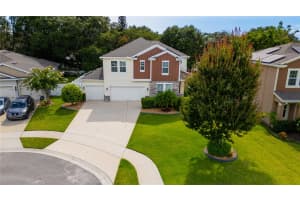 4024 BLAZEWATER COURT, EUSTIS, FL 32736 - MLS#MFRO6325565