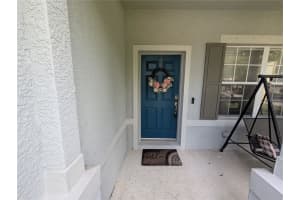 12513 BAY BRANCH COURT, TAMPA, FL 33635 - MLS#MFRO6325683
