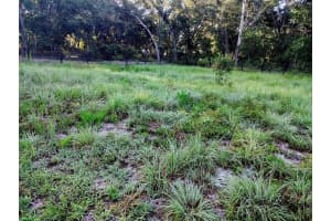 0 153 LANE, DUNNELLON, FL 34432 - MLS#MFRO6325800