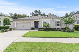 915 Night Song St, VALRICO