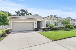 915 NIGHT SONG STREET, VALRICO, FL 33594 - MLS#MFRO6325866