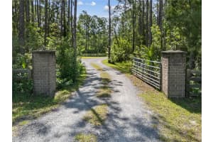 859 LEATHER FERN LANE, MIMS, FL 32754 - MLS#MFRO6326120