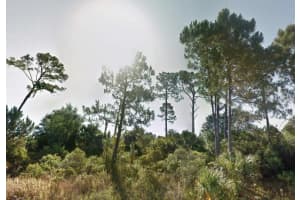 DUNMORE ST, NORTH PORT, FL 34288 - MLS#MFRO6326302