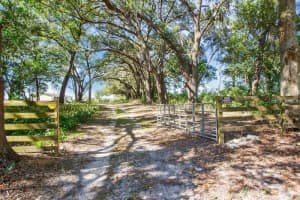 12190 10TH AVENUE, TRENTON, FL 32693 - MLS#MFRO6326518