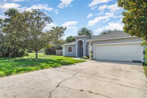 14317 RAINTREE BOULEVARD, GRAND ISLAND, FL 32735 Sold 11/03/25