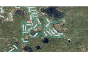TBD 147TH LANE, UMATILLA, FL 32784 - MLS#MFRO6326910