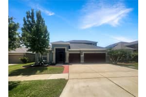 12671 Flatwood Creek Dr, GIBSONTON