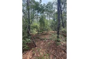 SW 38TH CIR, OCALA, FL 34473 - MLS#MFRO6326990