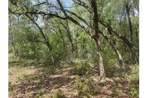 2205 ADAMS STREET, INVERNESS, FL 34453 Sold 08/08/25