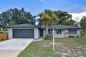 1299 N Old Mill Dr, DELTONA