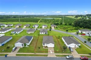 6392 Green Bud Dr, GROVELAND