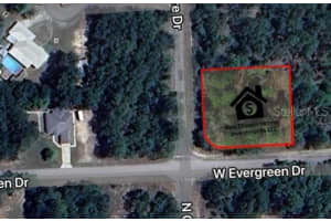 1325 EVERGREEN DRIVE, CITRUS SPRINGS, FL 34434 Sold 09/01/25
