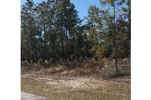 7094 MALTESE DRIVE, CITRUS SPRINGS, FL 34433 Sold 02/19/26