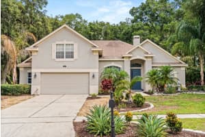 597 Sand Wedge Loop, APOPKA