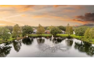 806 GROVESMERE LOOP, OCOEE, FL 34761 - MLS#MFRO6327479