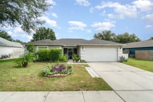 313 N Hawthorne Ave, APOPKA